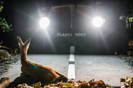 VLÁDCI NOCI