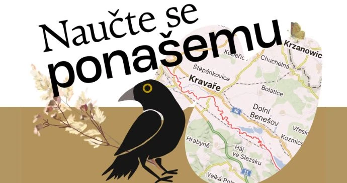 Pokračování kurzu PONEŠEMU